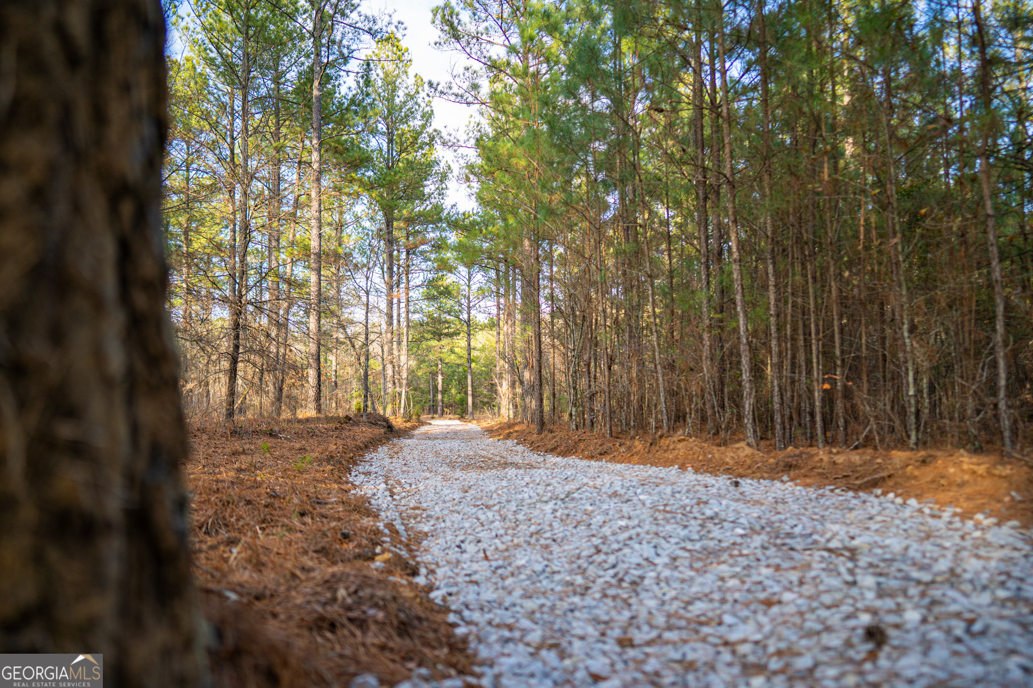3 Smith Rocky Branch Road