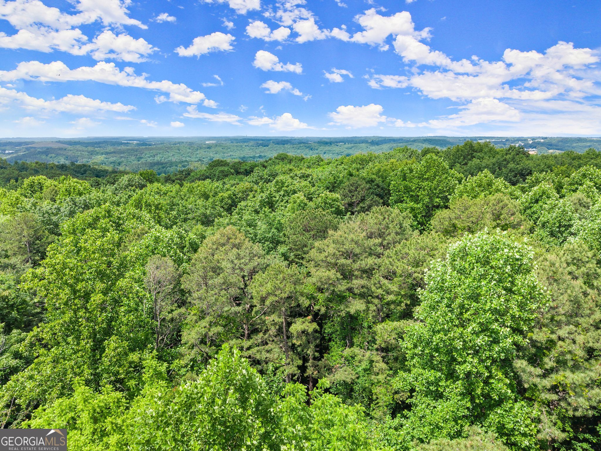 2114 Microwave Tower Road Property Photo 8