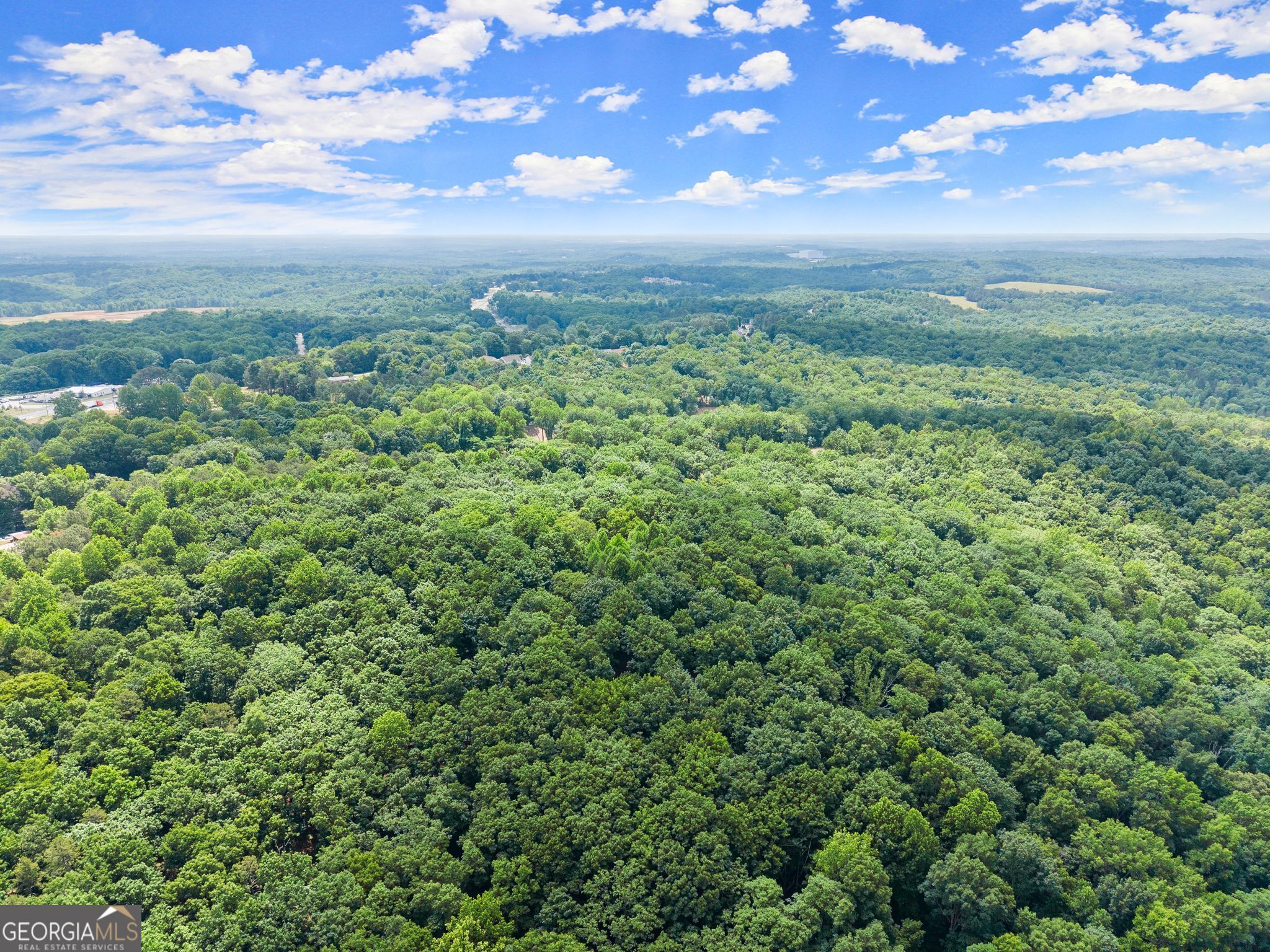 2114 Microwave Tower Road Property Photo 12