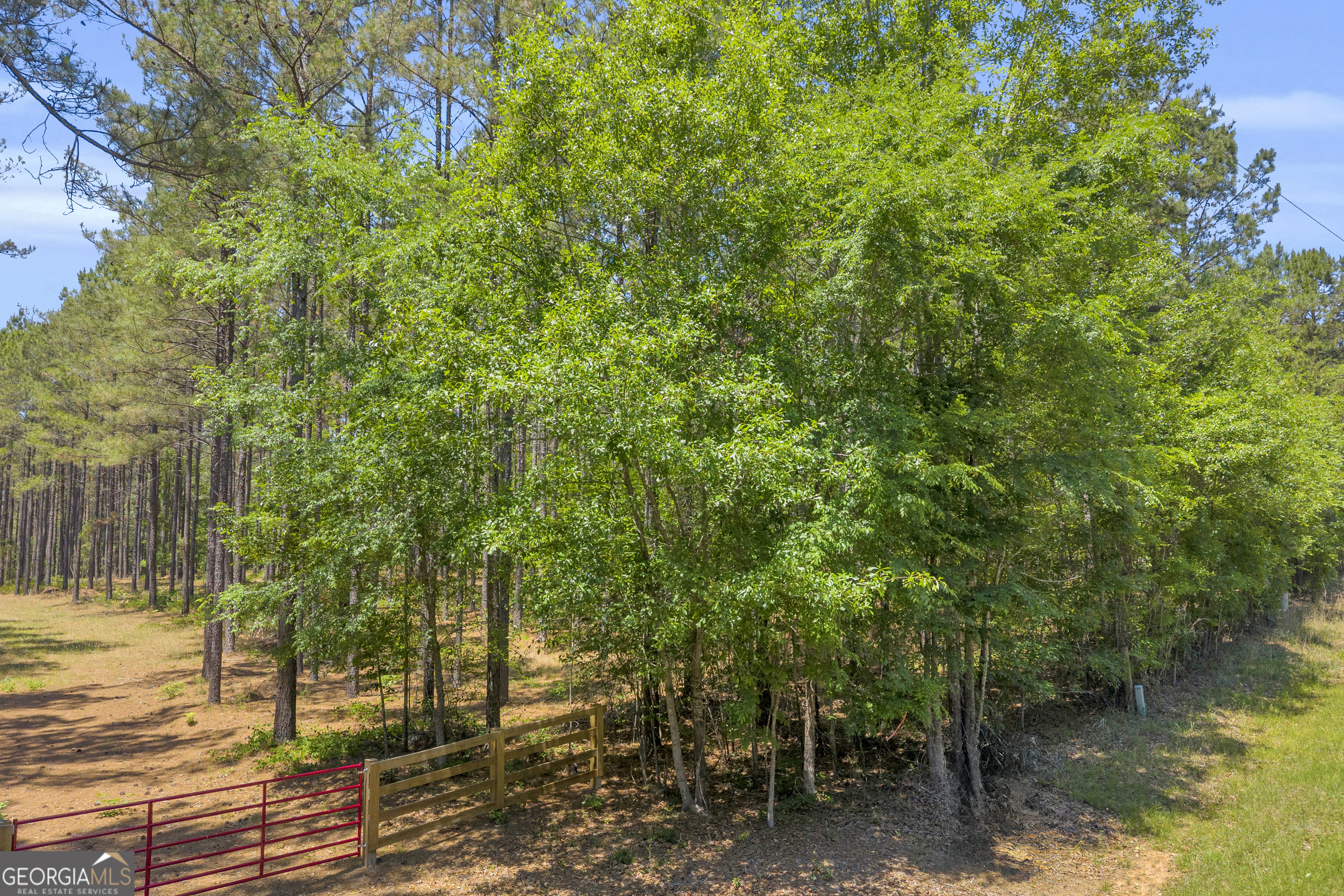 0 Hidden Harbor Road Property Photo 11
