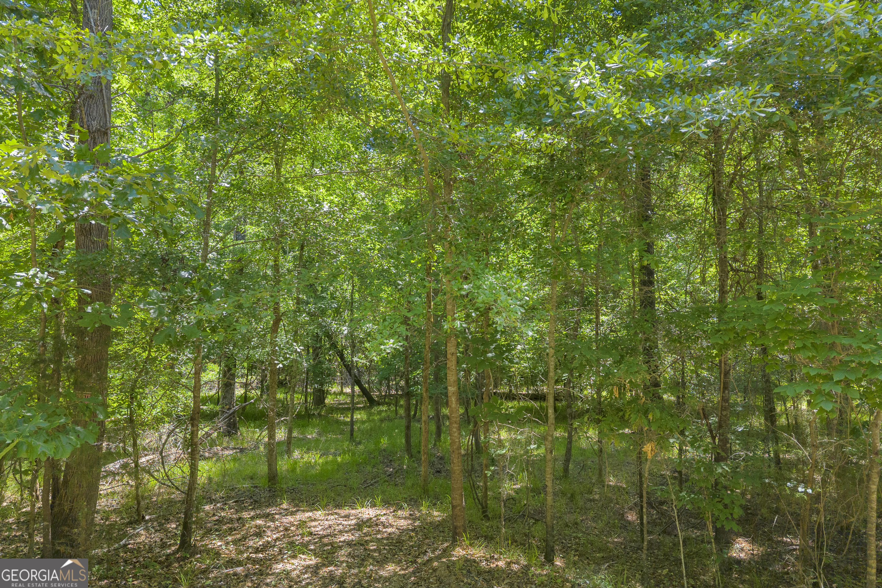0 Hidden Harbor Road Property Photo 12