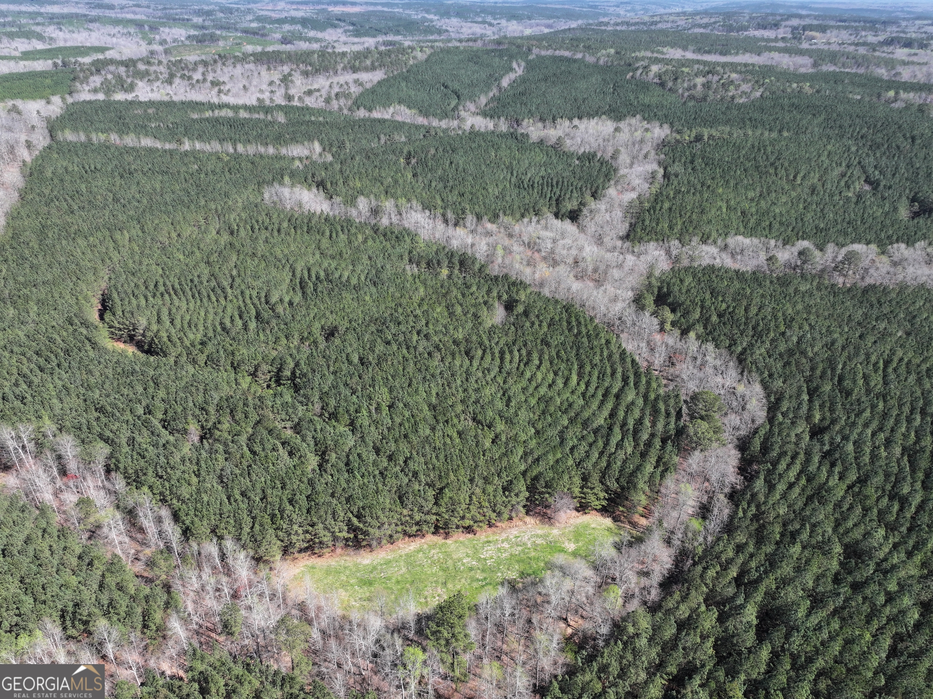257 +/- Acres On Ridgeway Road Property Photo 1