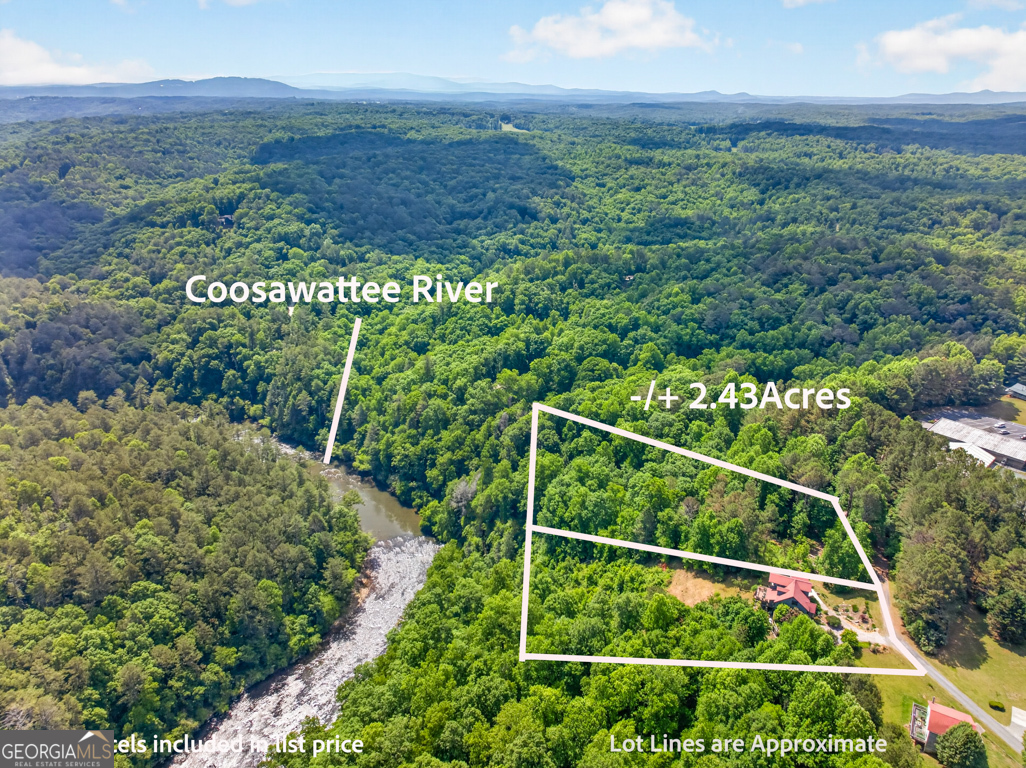 95 Scenic Way Property Photo 6