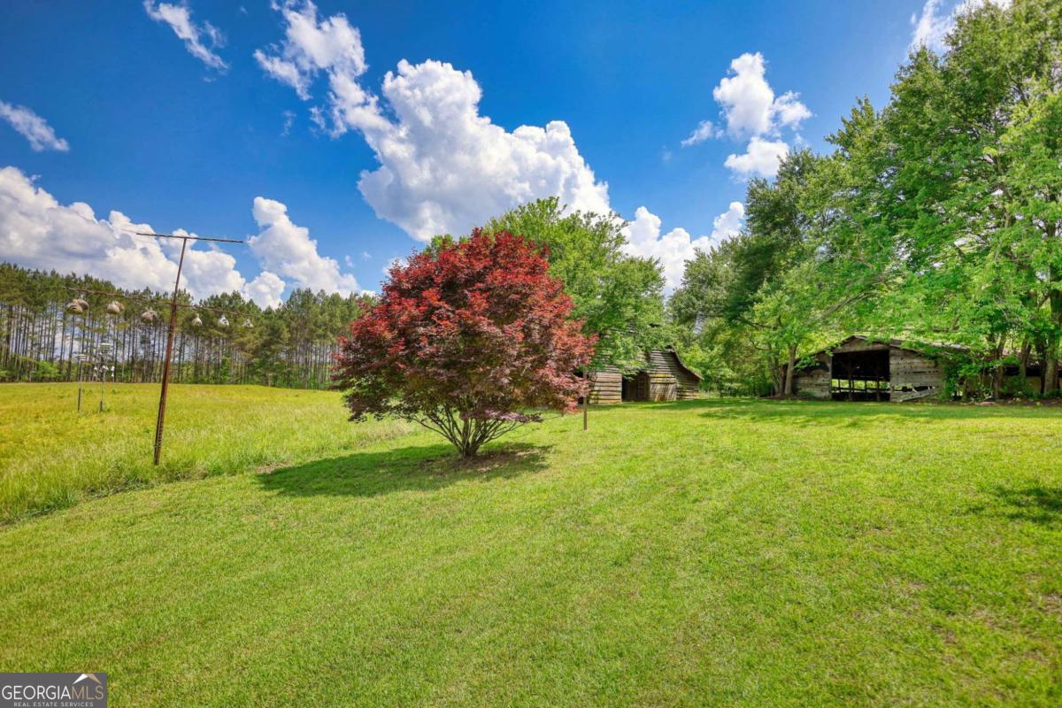 2643 Macedonia Road Property Photo 54