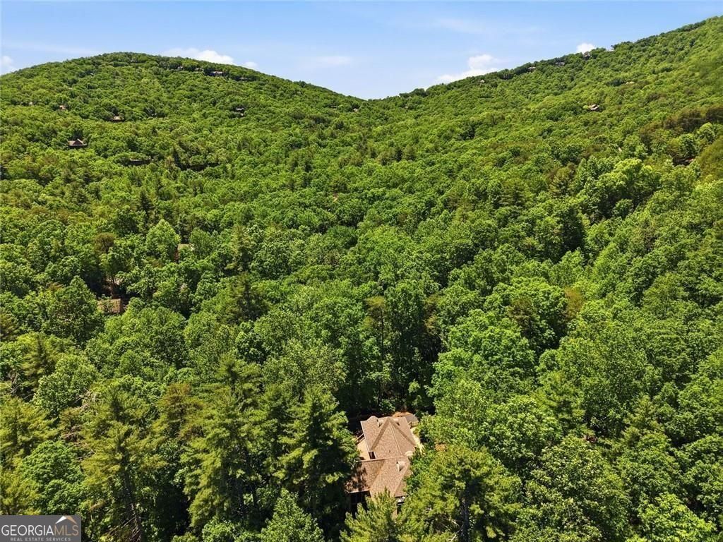 1288 Black Bear Trail Property Photo 60