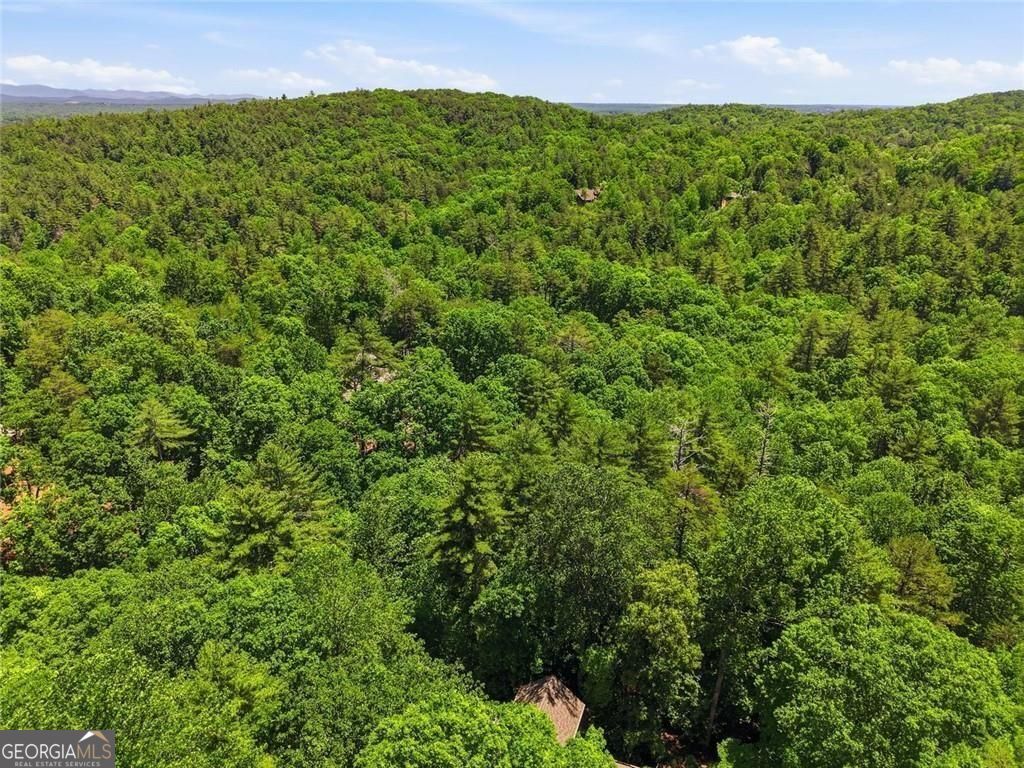 1288 Black Bear Trail Property Photo 61