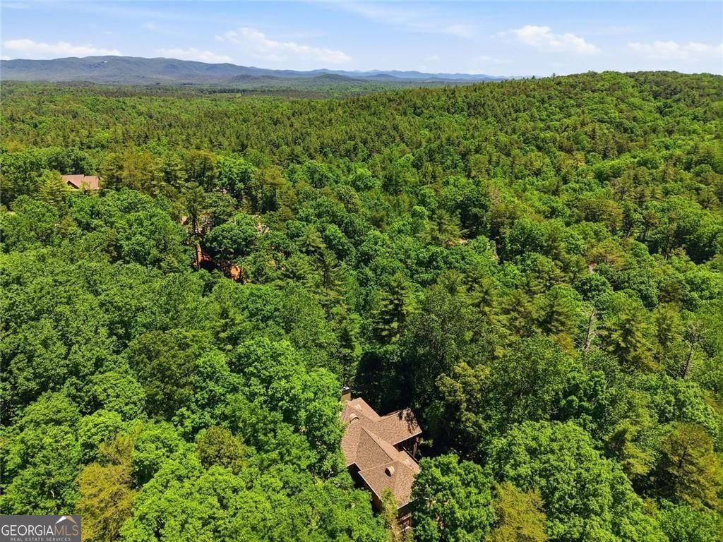 1288 Black Bear Trail Property Photo 62