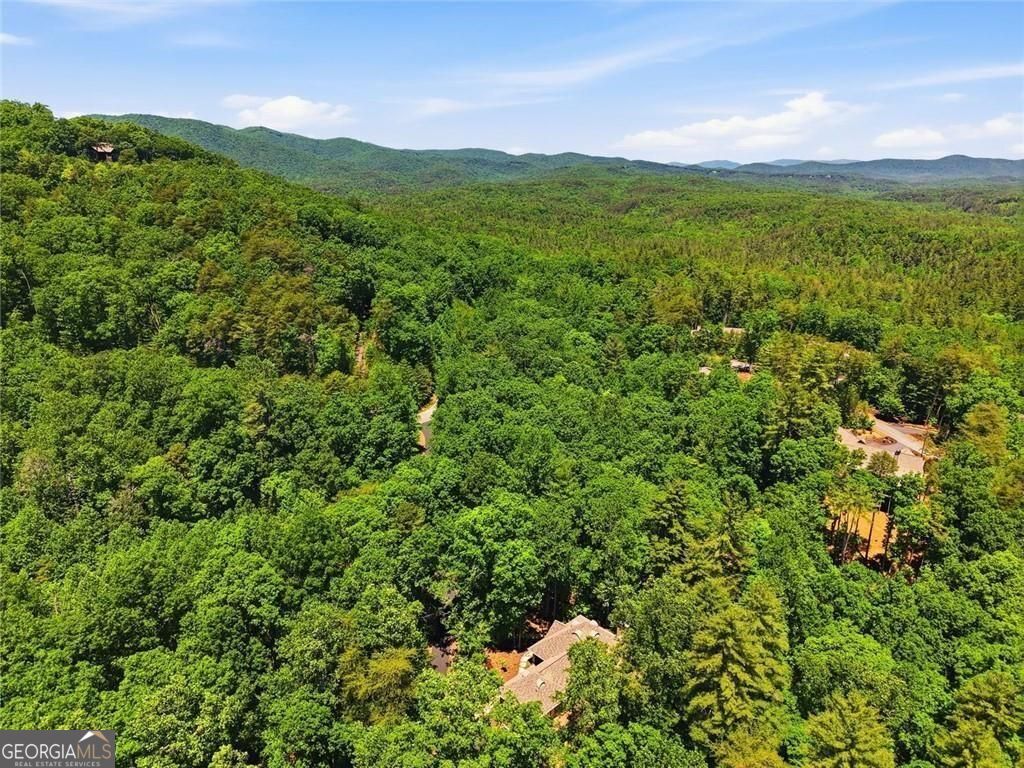1288 Black Bear Trail Property Photo 64