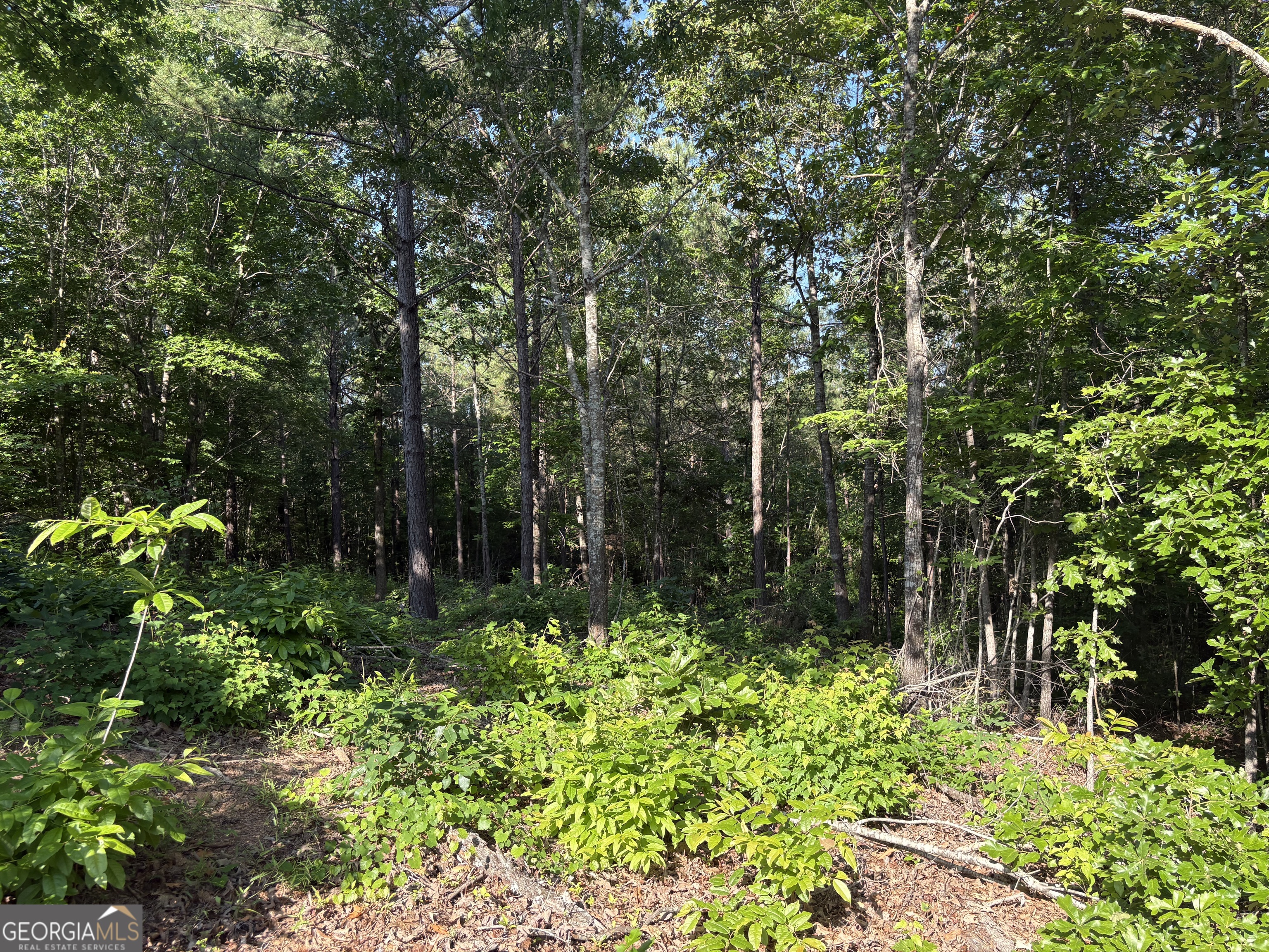 0 Anna Claire Court LOT 11