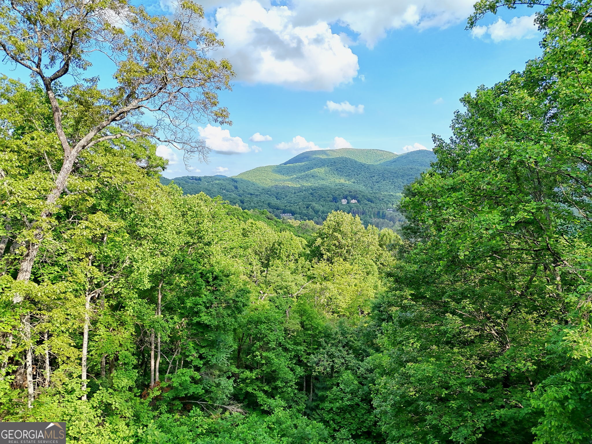 1085 Sky High Drive Property Photo 39