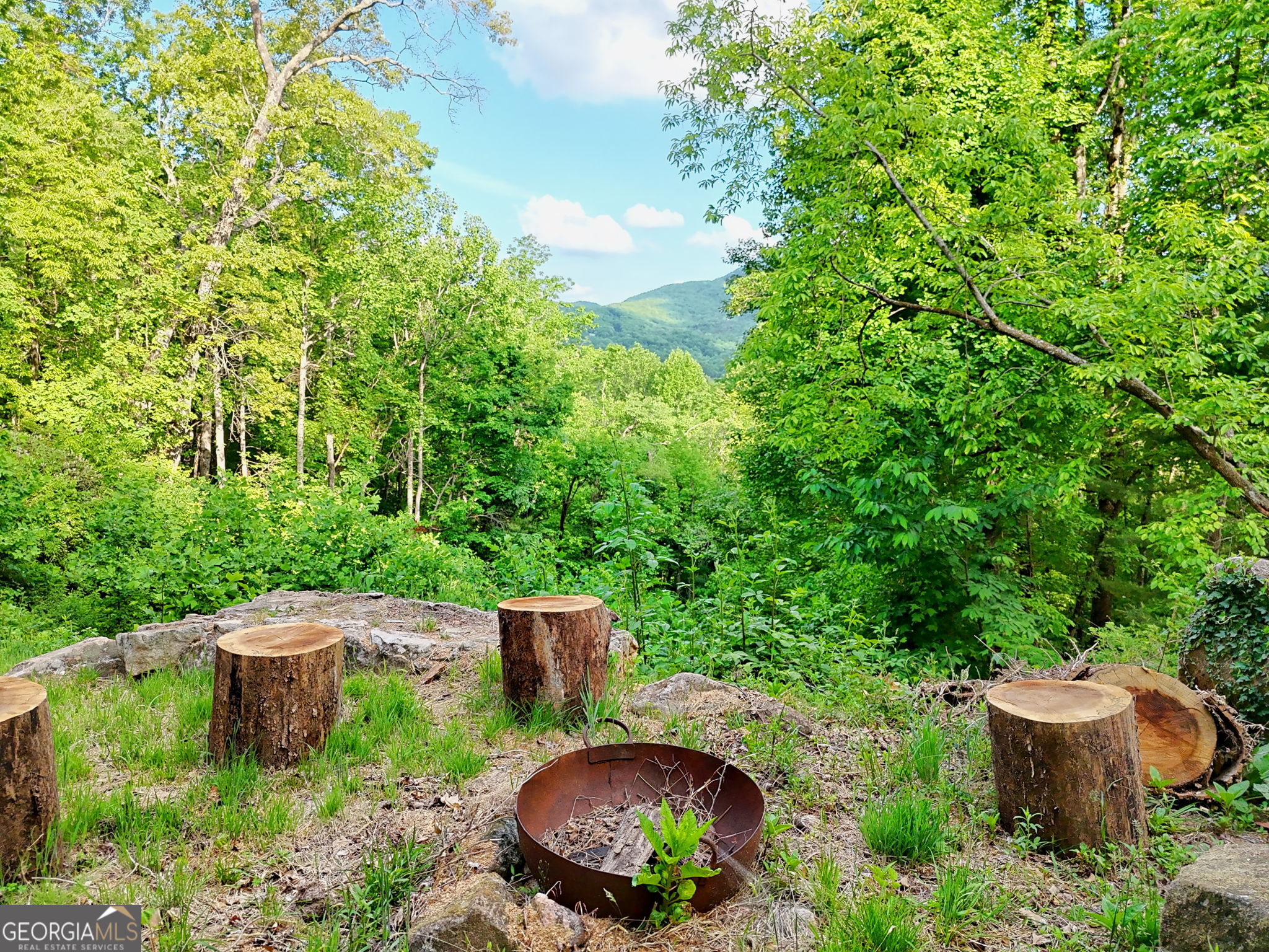 1085 Sky High Drive Property Photo 40