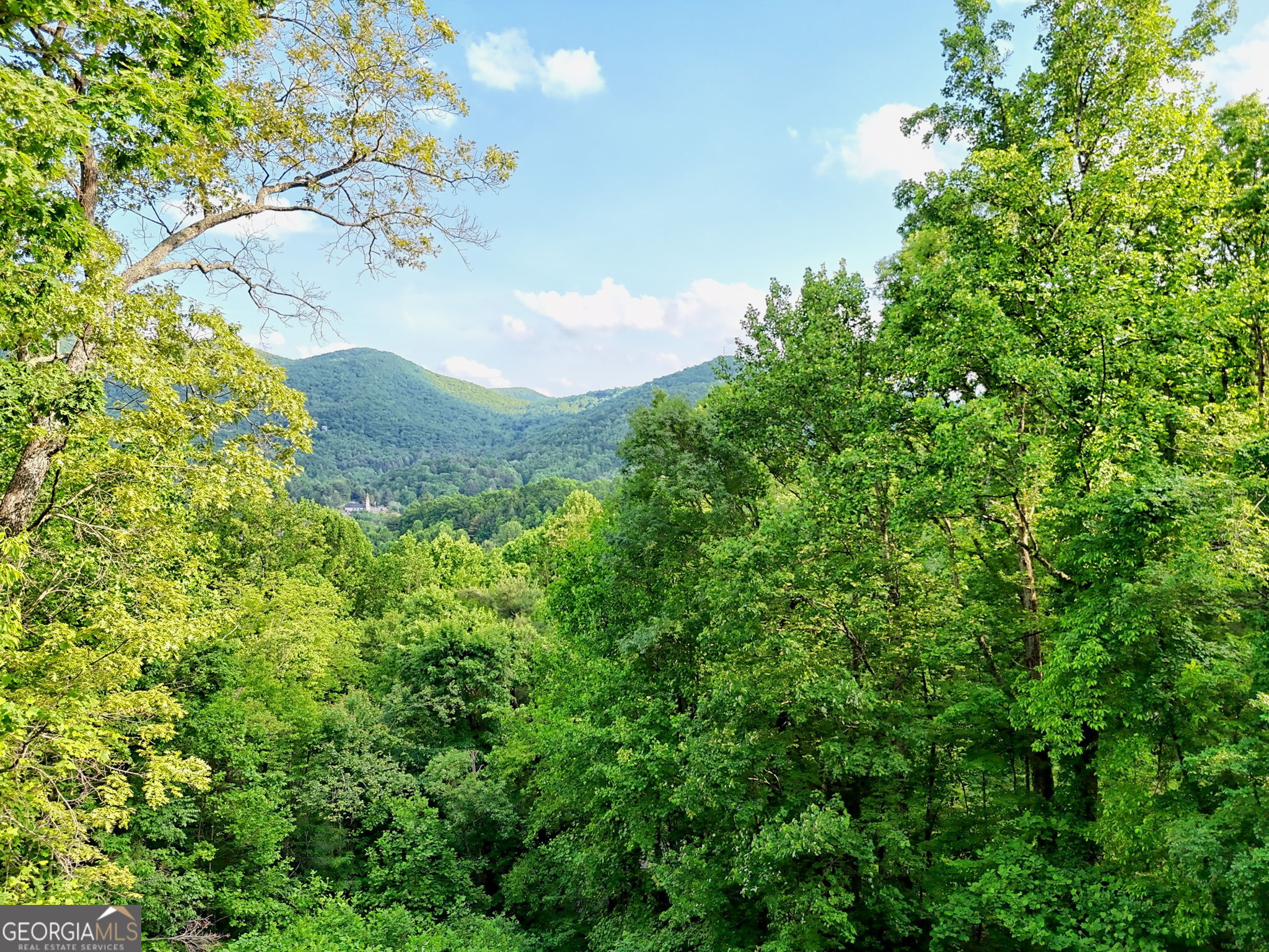 1085 Sky High Drive Property Photo 41