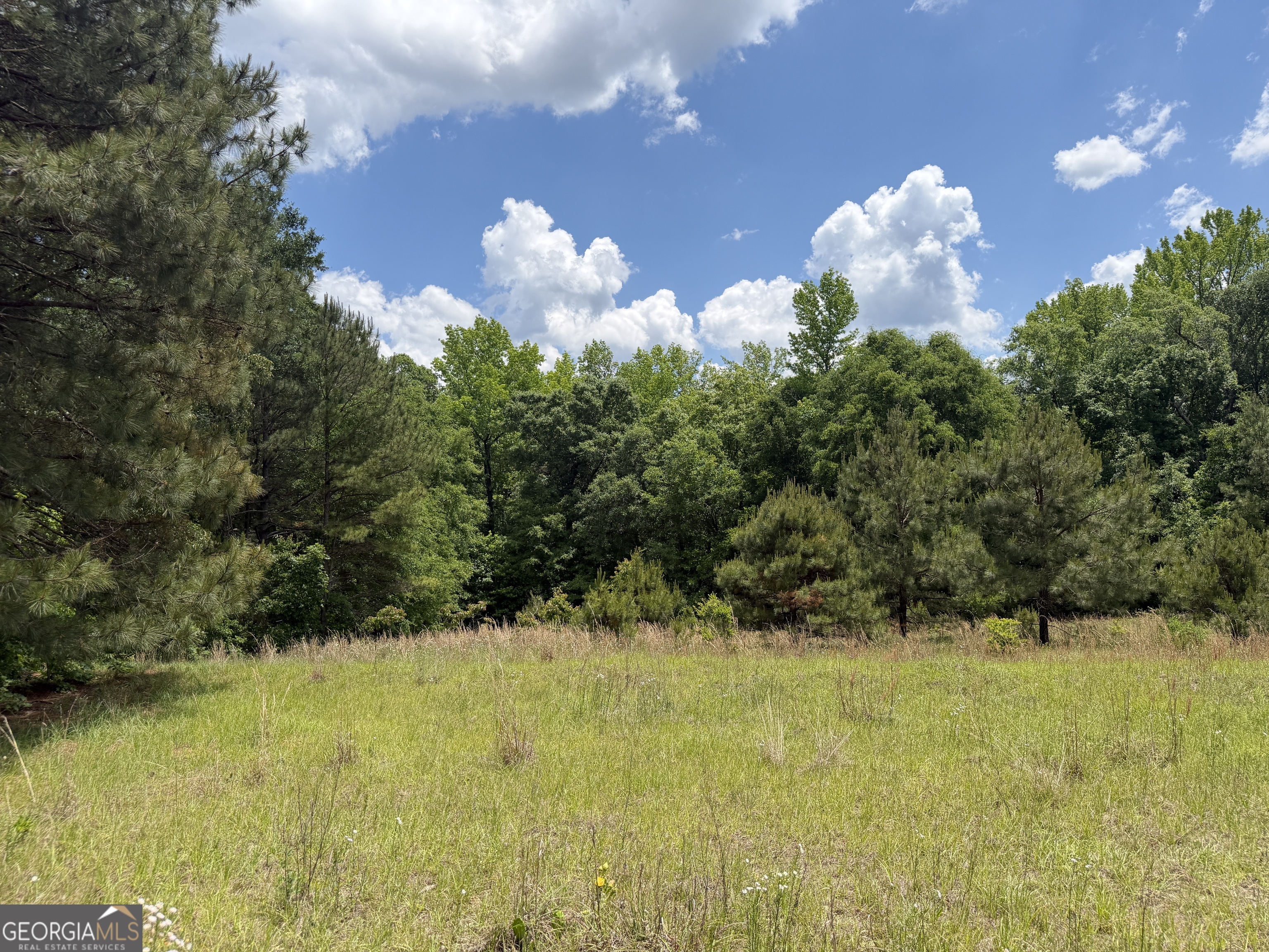 010 Long Branch Road Property Photo 1