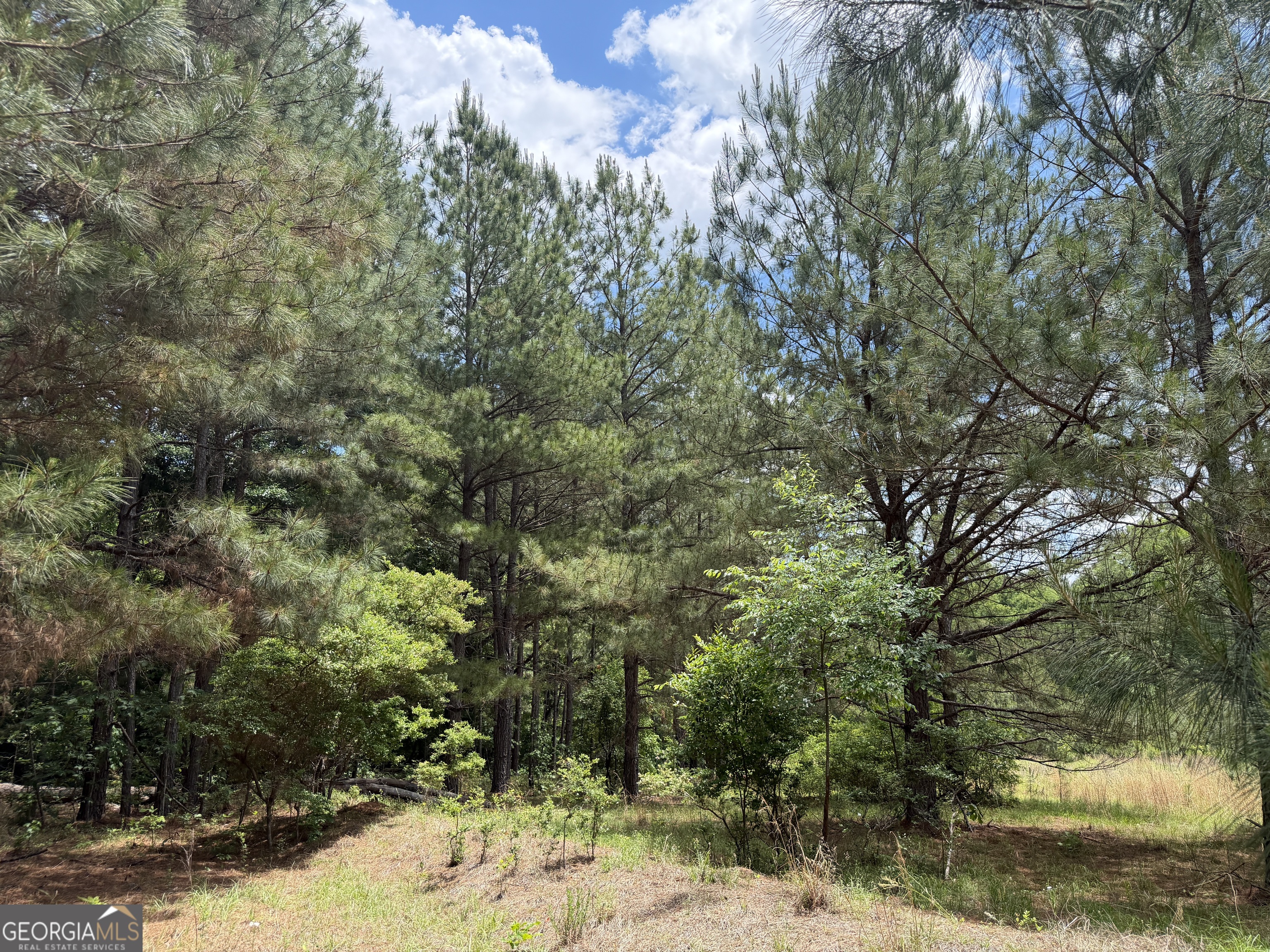 008 Little Sandy Creek Road Property Photo 1