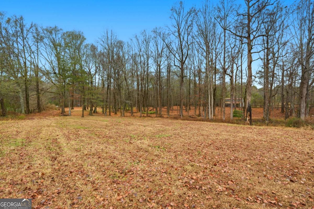 1188 Carl Bethlehem Road Property Photo 27