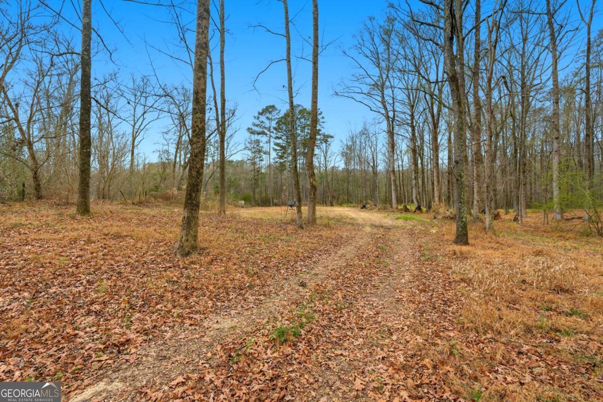 1188 Carl Bethlehem Road Property Photo 31