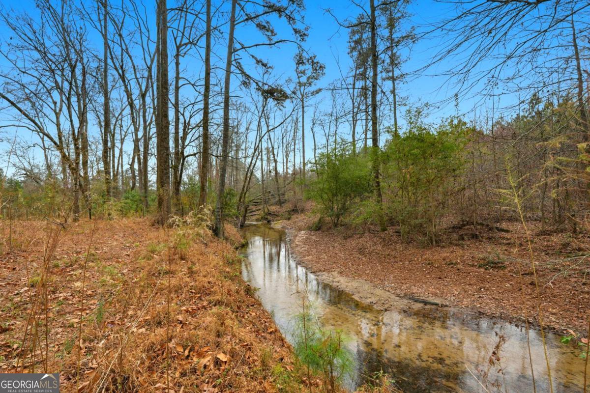 1188 Carl Bethlehem Road Property Photo 33