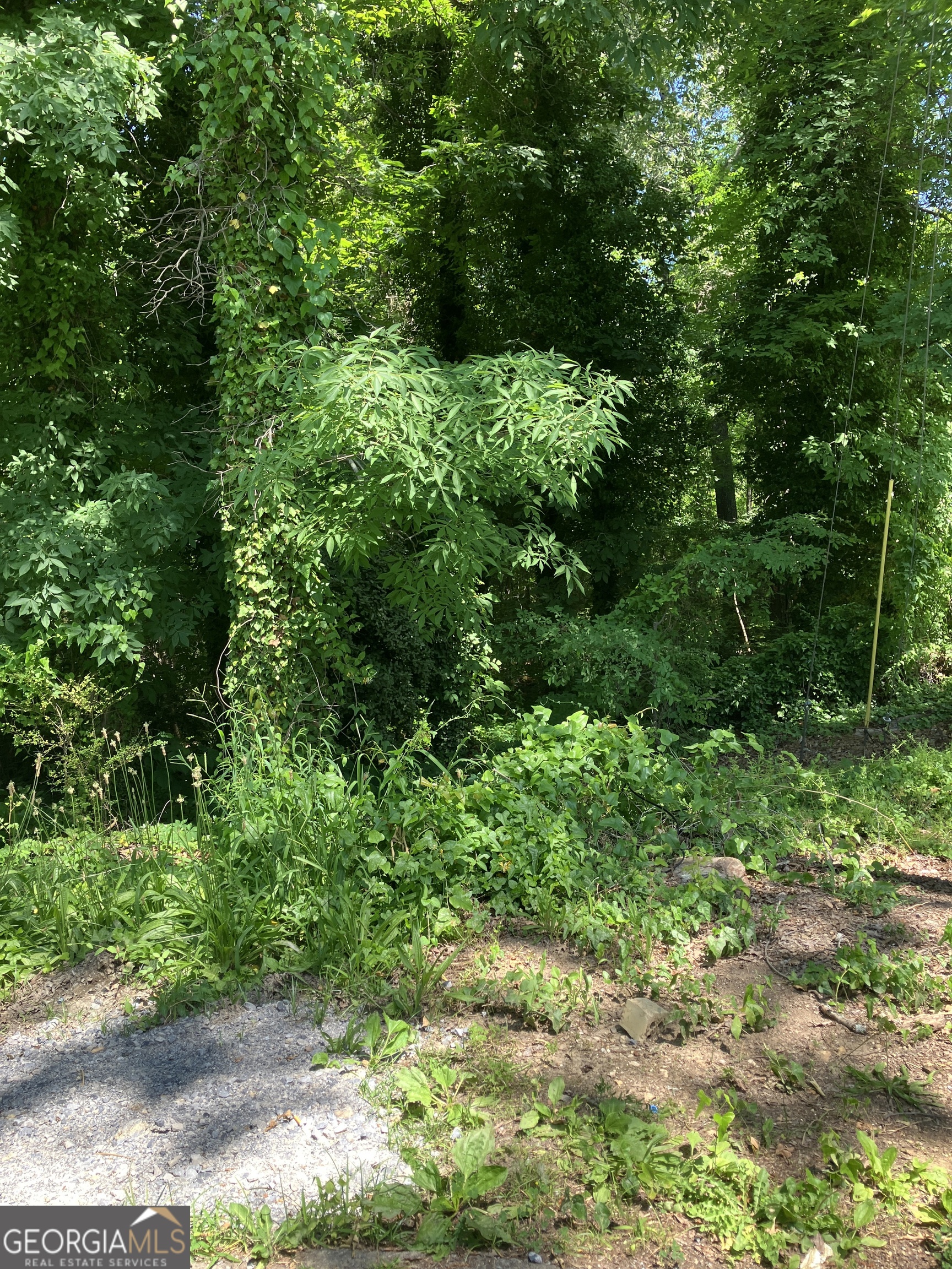 0 Battey Drive Property Photo 4