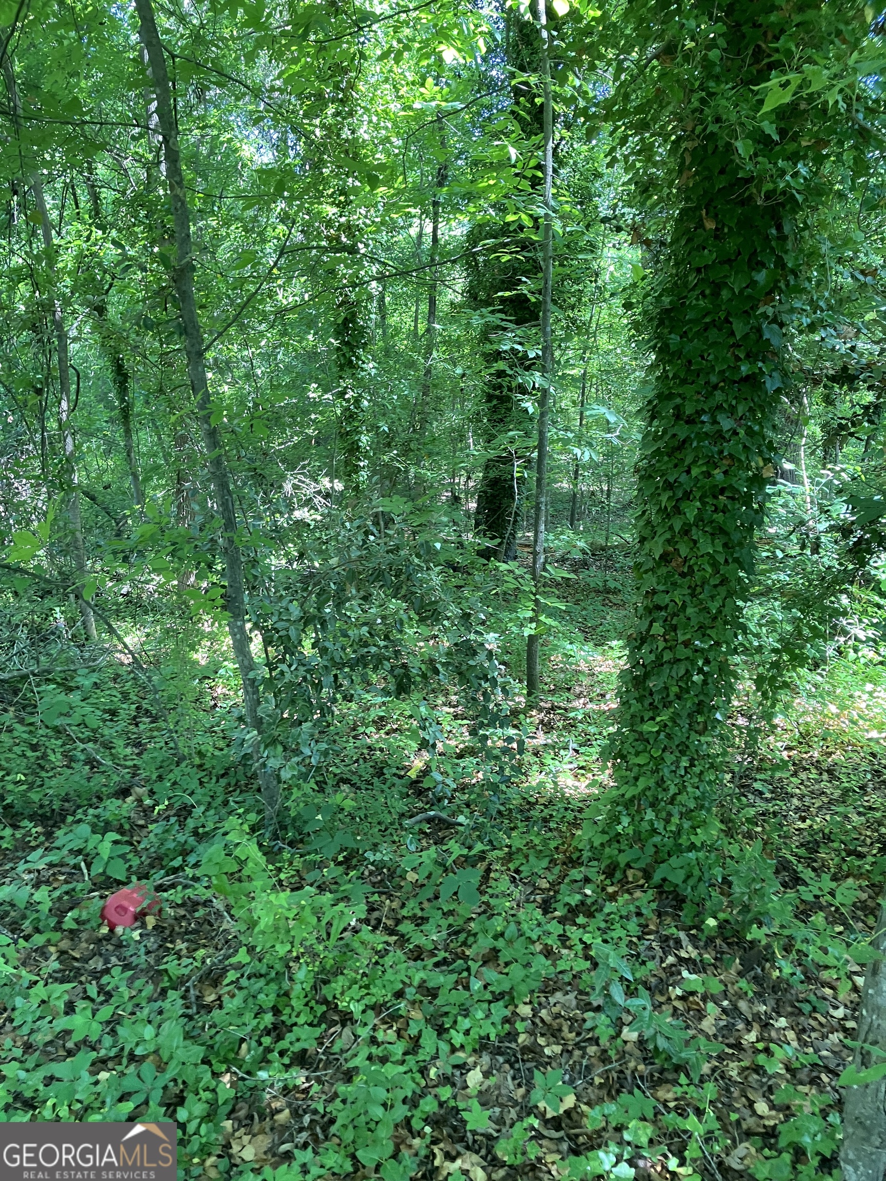 0 Battey Drive Property Photo 5