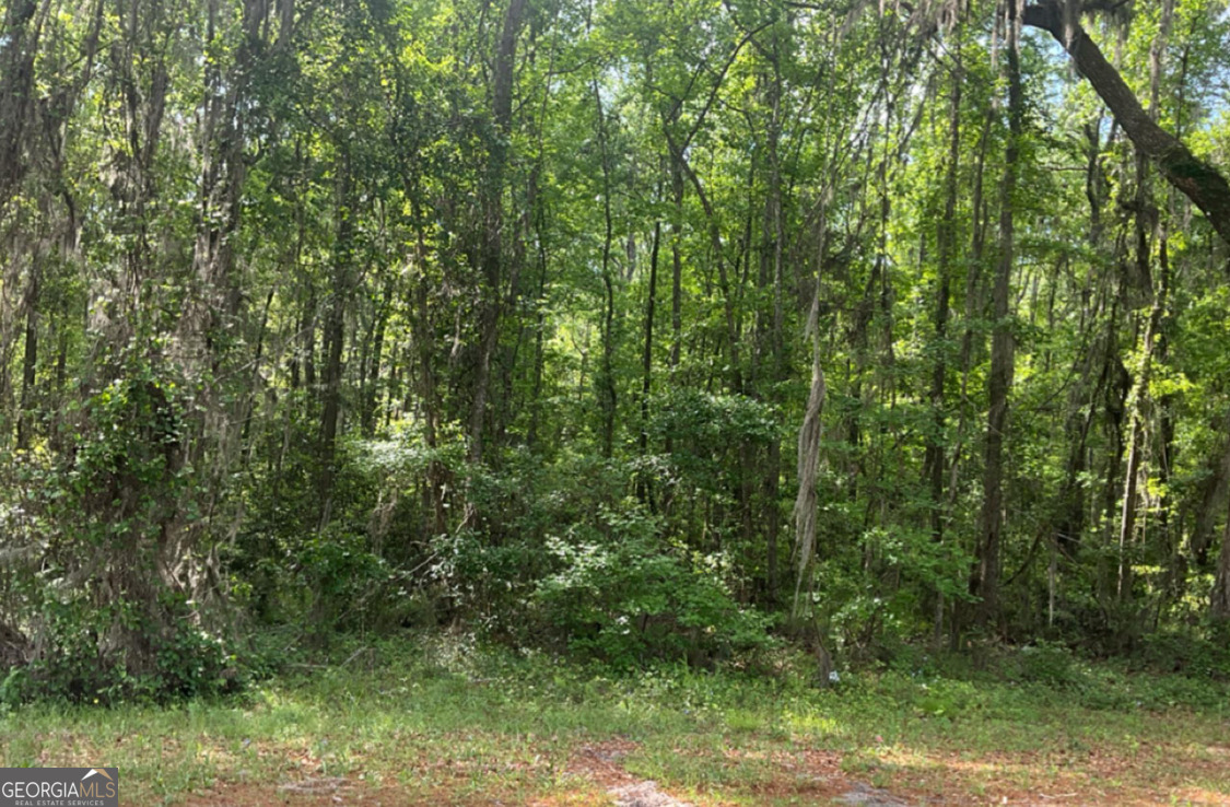 0 Youngman Road Property Photo 1