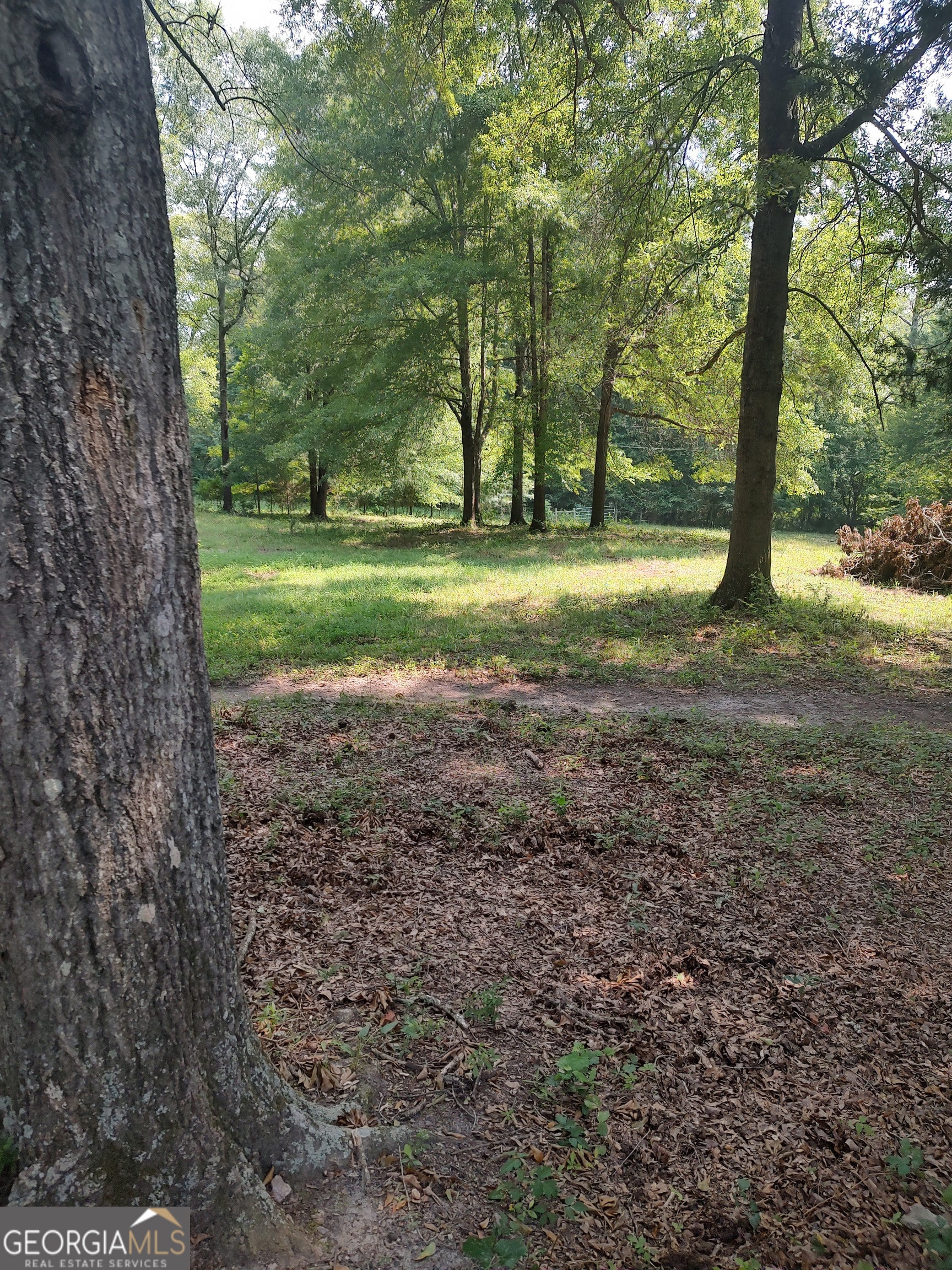 201 Lawrence Mill Road Property Photo 37