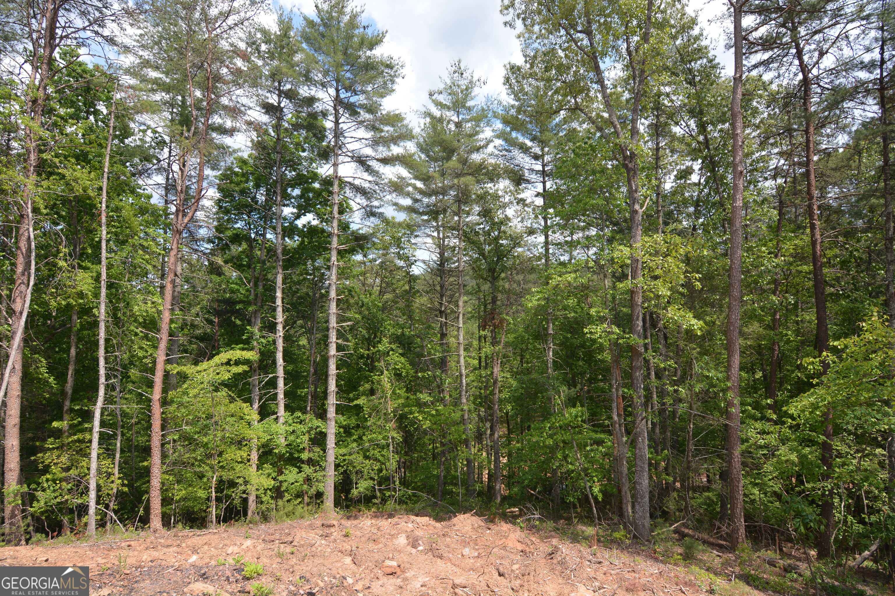 Lot 3 Murphy Hwy (spur 60) Property Photo 13