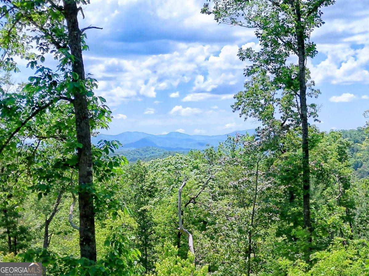 Lot 28 Bryson Creek Property Photo 1