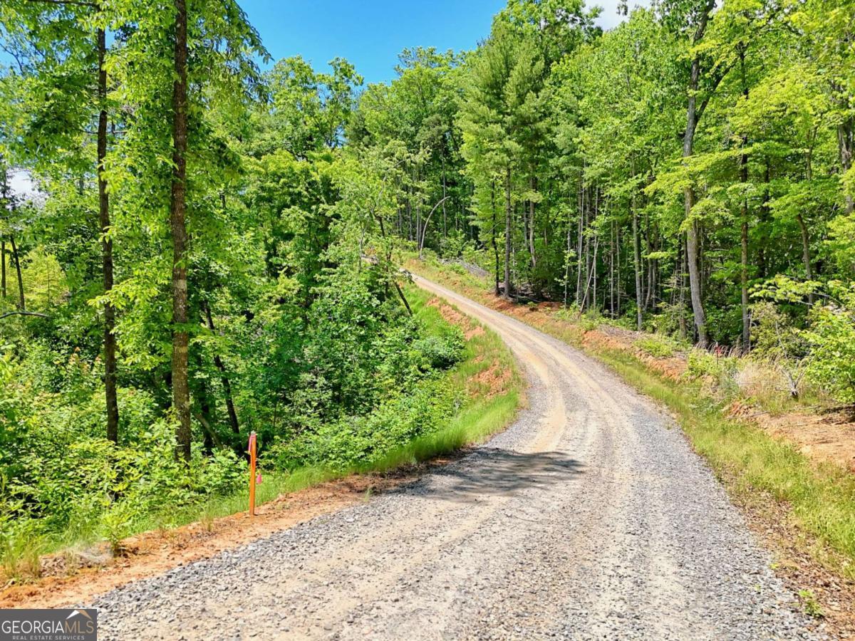 Lot 28 Bryson Creek Property Photo 2