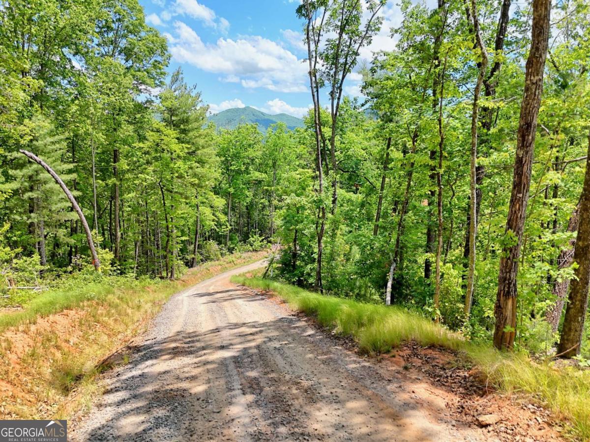 Lot 28 Bryson Creek Property Photo 10