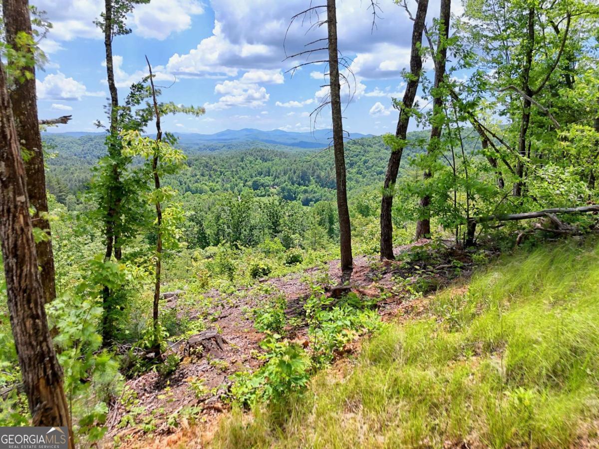 Lot 28 Bryson Creek Property Photo 11