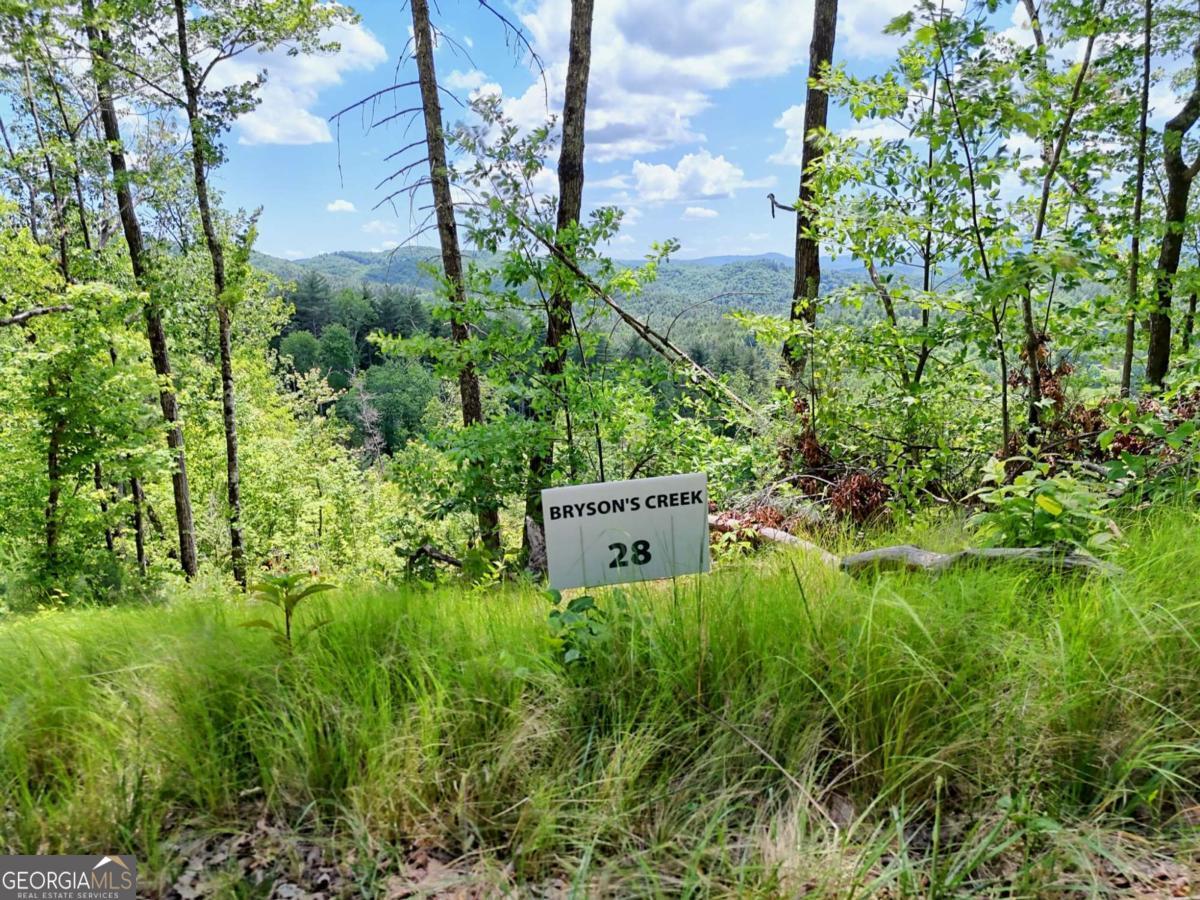 Lot 28 Bryson Creek Property Photo 12