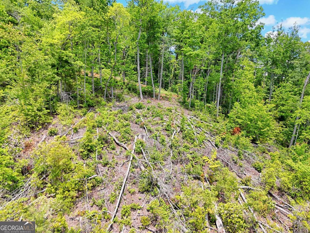 Lot 28 Bryson Creek Property Photo 14