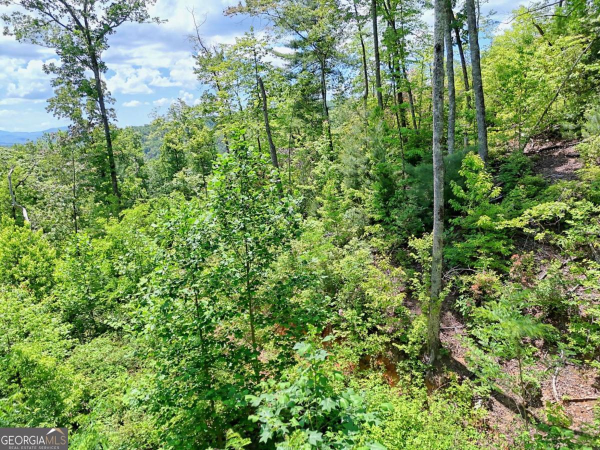 Lot 28 Bryson Creek Property Photo 19