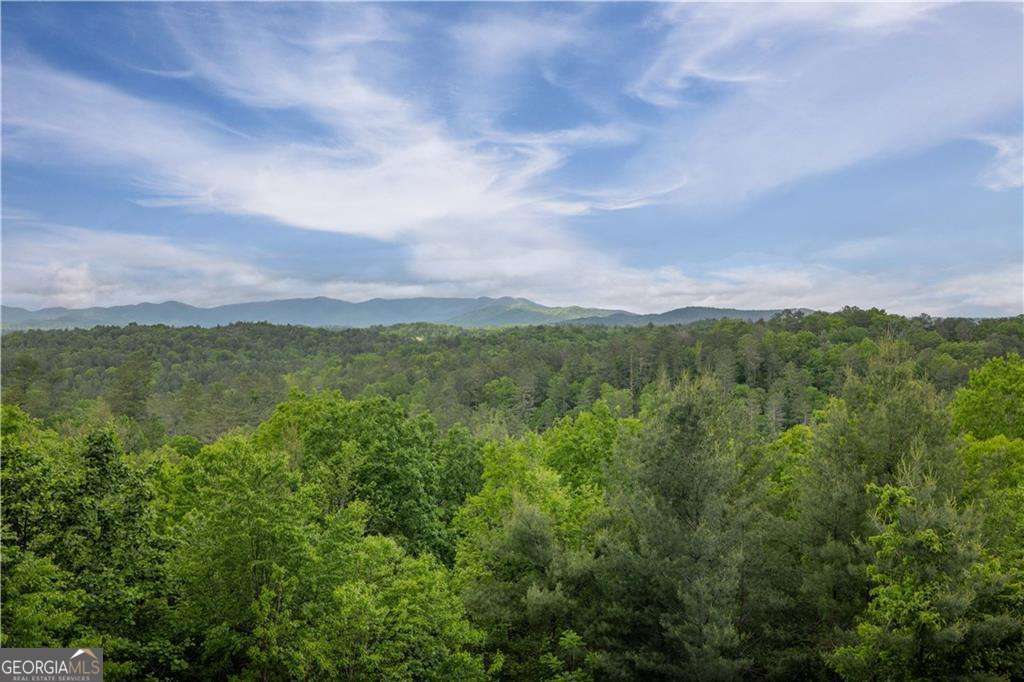 170 Wildwood Court Property Photo 45
