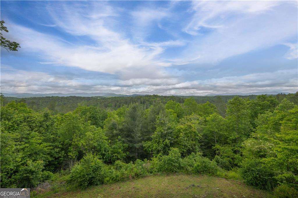 170 Wildwood Court Property Photo 46