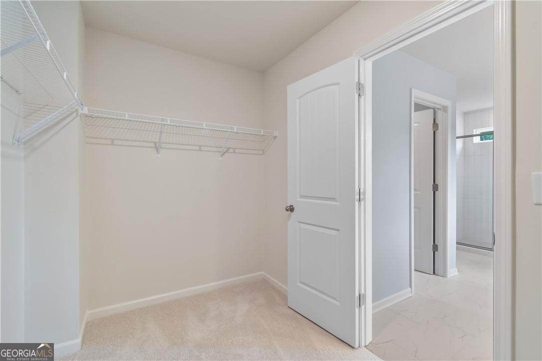 239 Abbotts Crossing Circle Property Photo 38