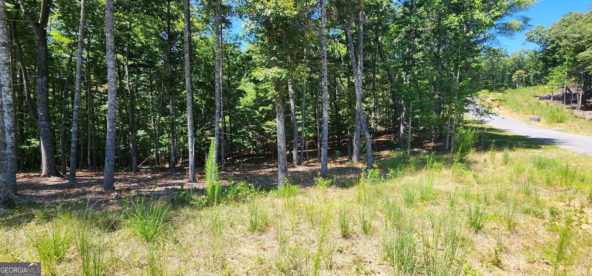 51 Ridge Drive Property Photo 3