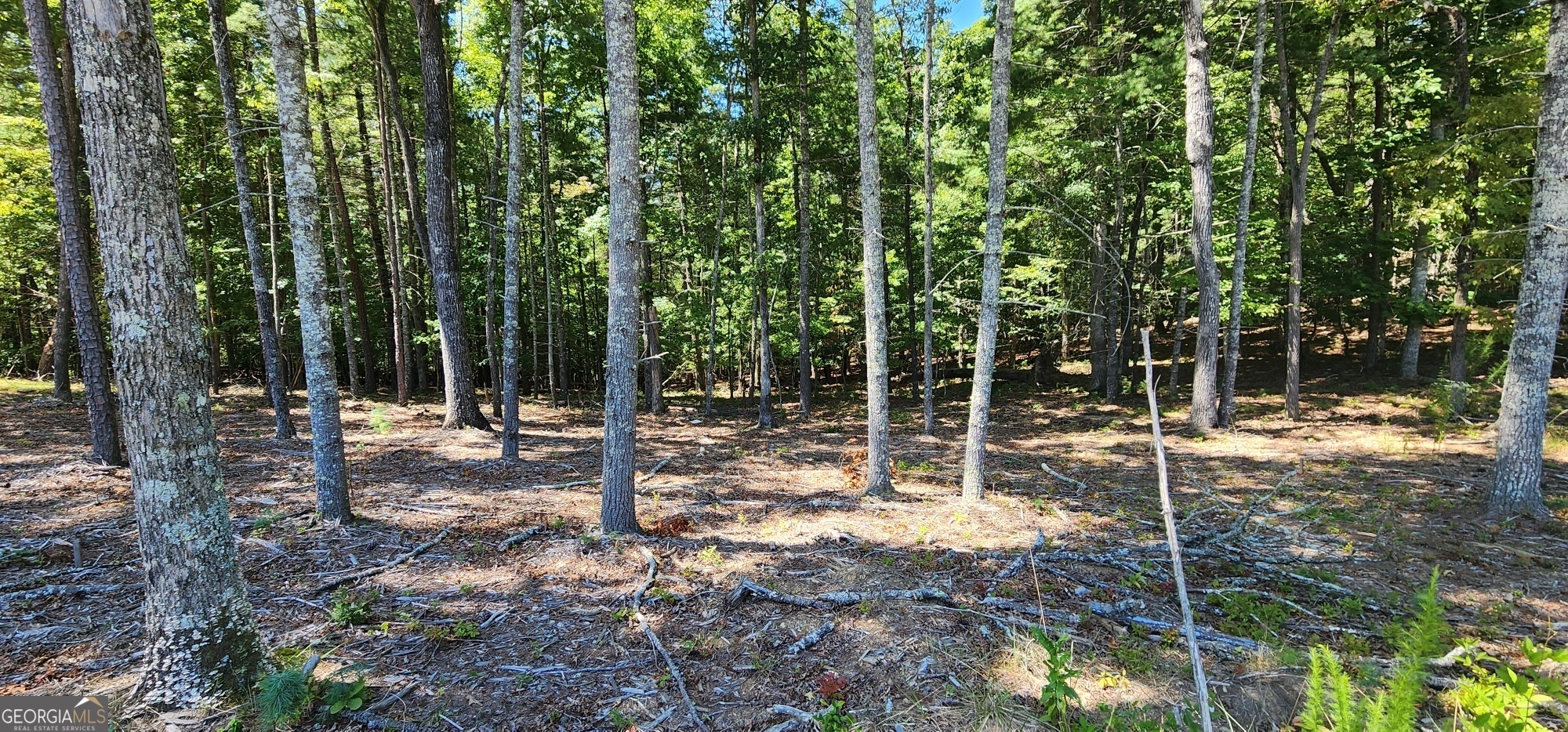 51 Ridge Drive Property Photo 4
