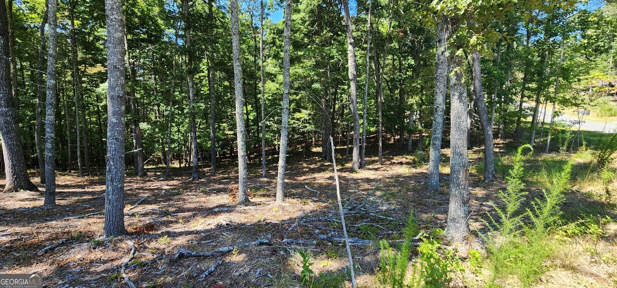 51 Ridge Drive Property Photo 6