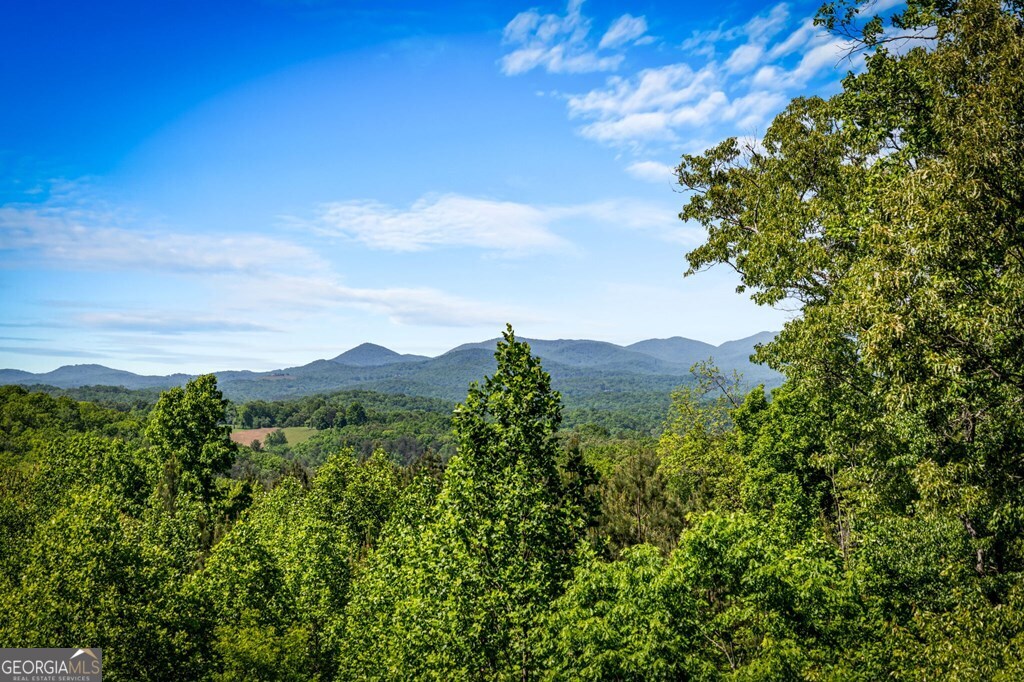 479 Big Timber Road Property Photo 2