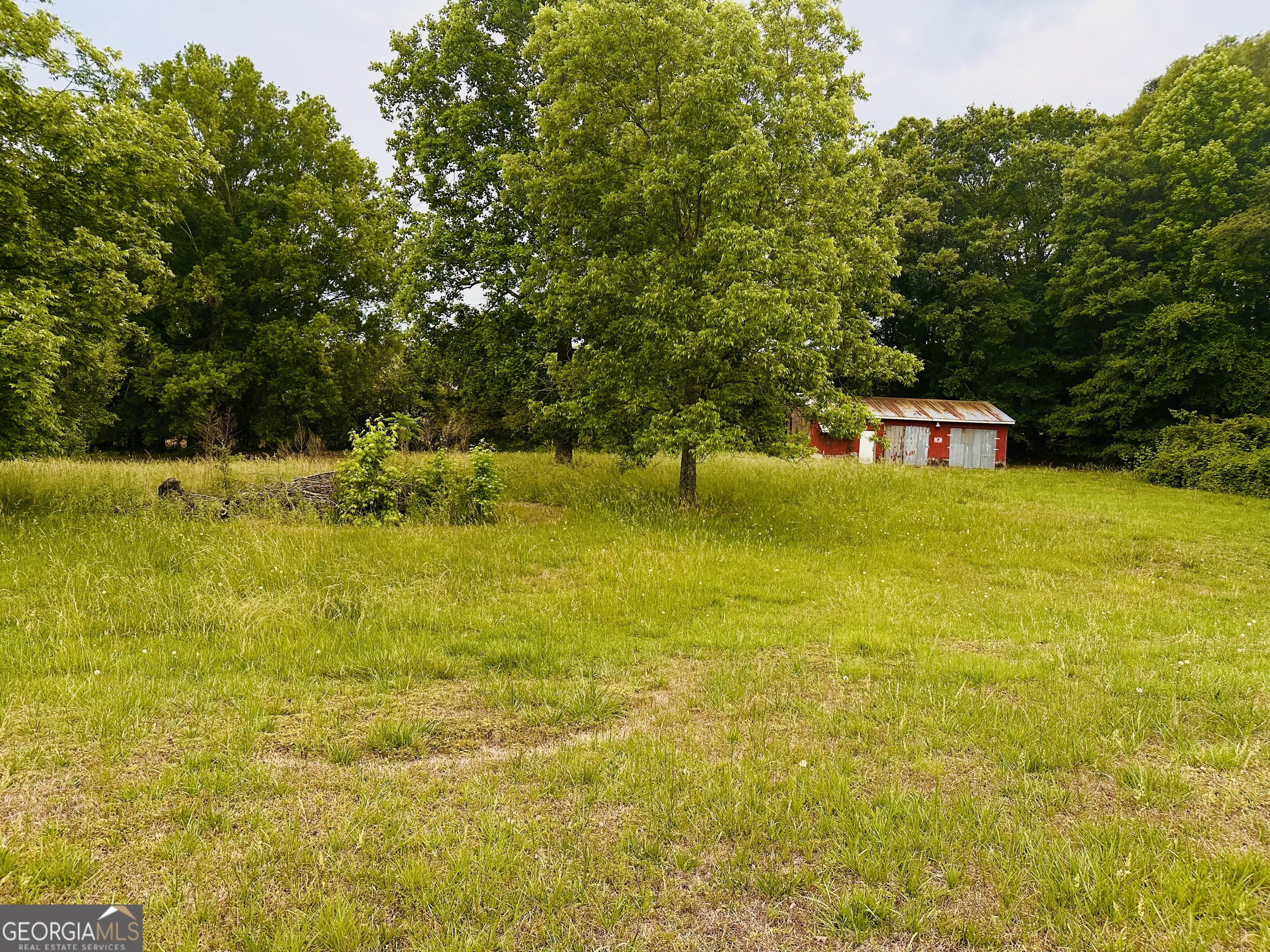 6485 Highway 124 W Property Photo 6