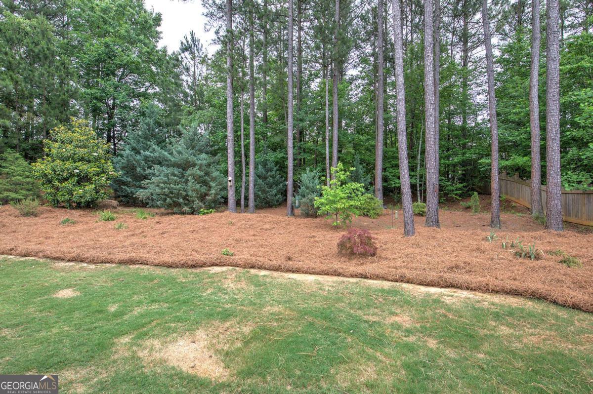 993 Double Branches Lane Property Photo 42