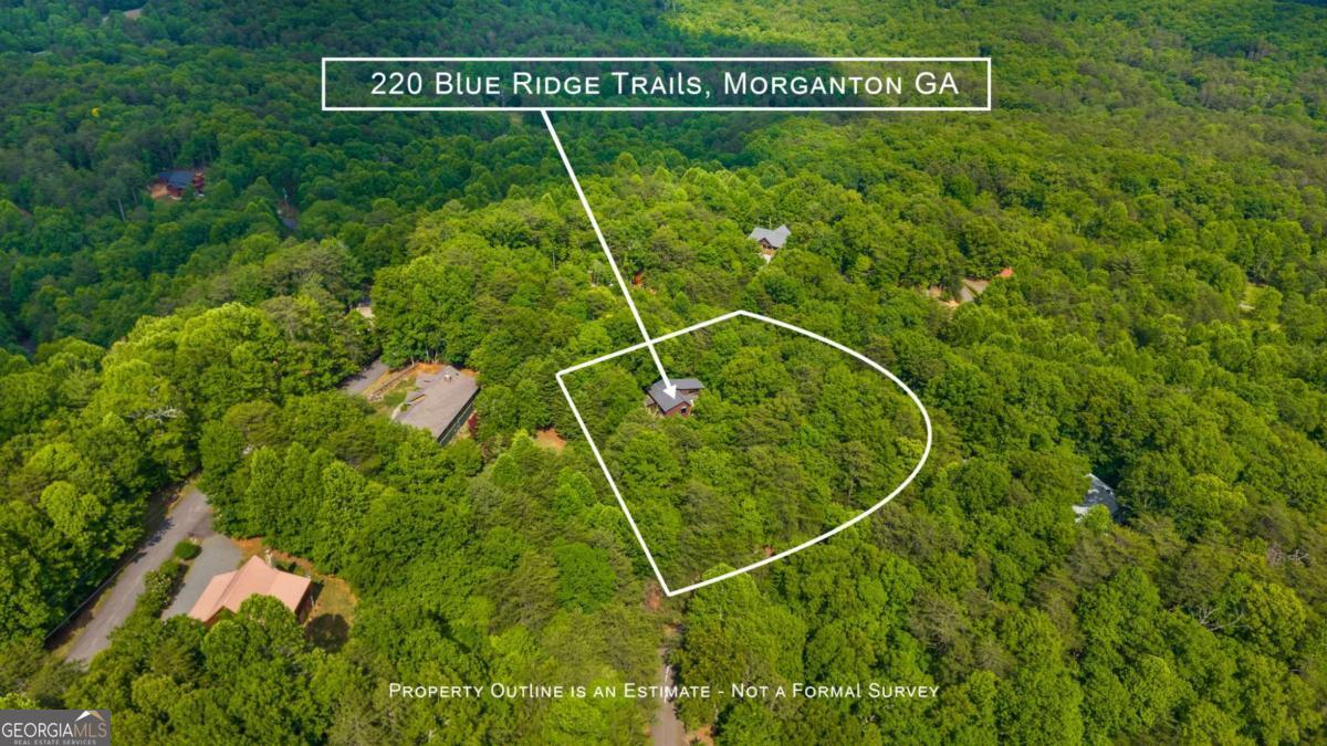 220 Blue Ridge Trails Property Photo 10
