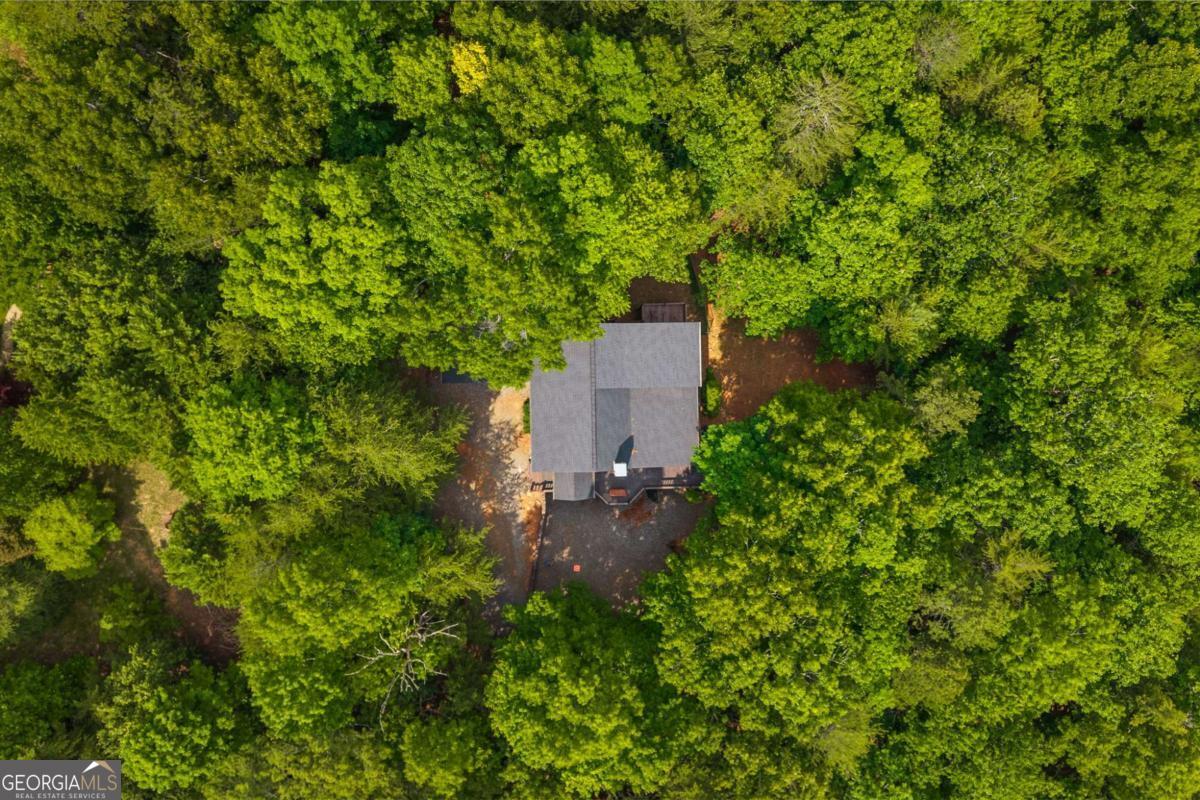 220 Blue Ridge Trails Property Photo 11