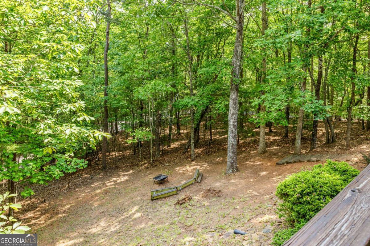 220 Blue Ridge Trails Property Photo 25