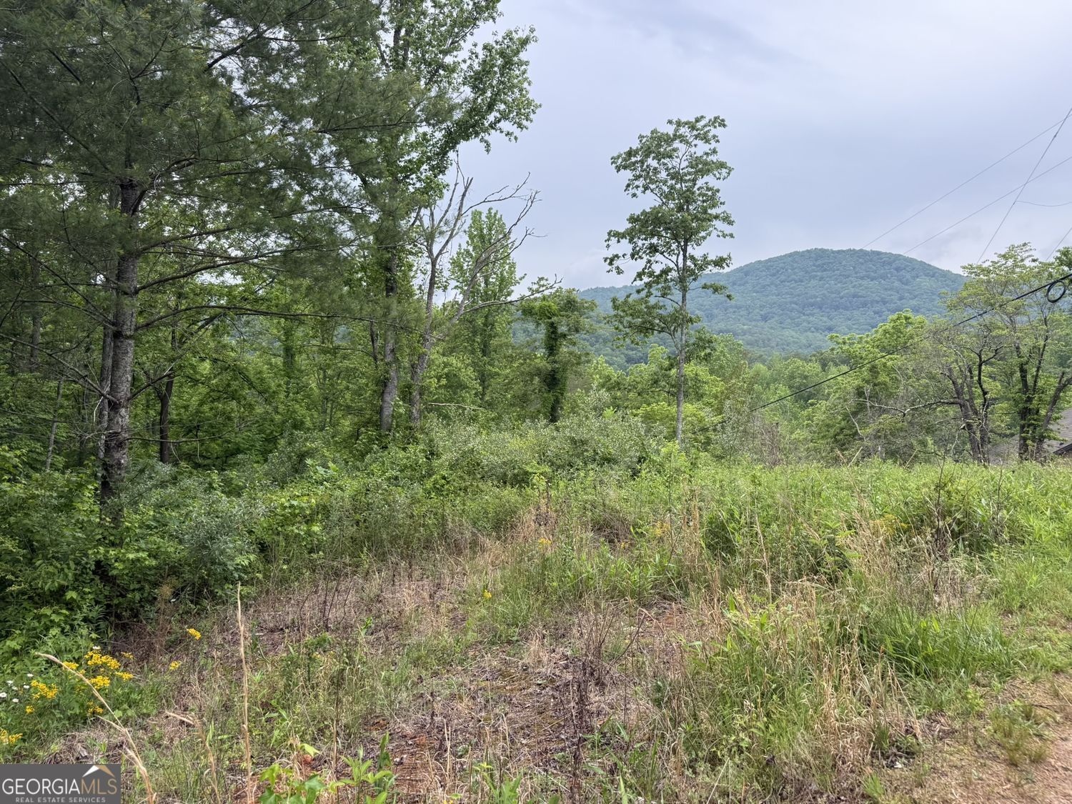 LOT 7D Meadow View Lane