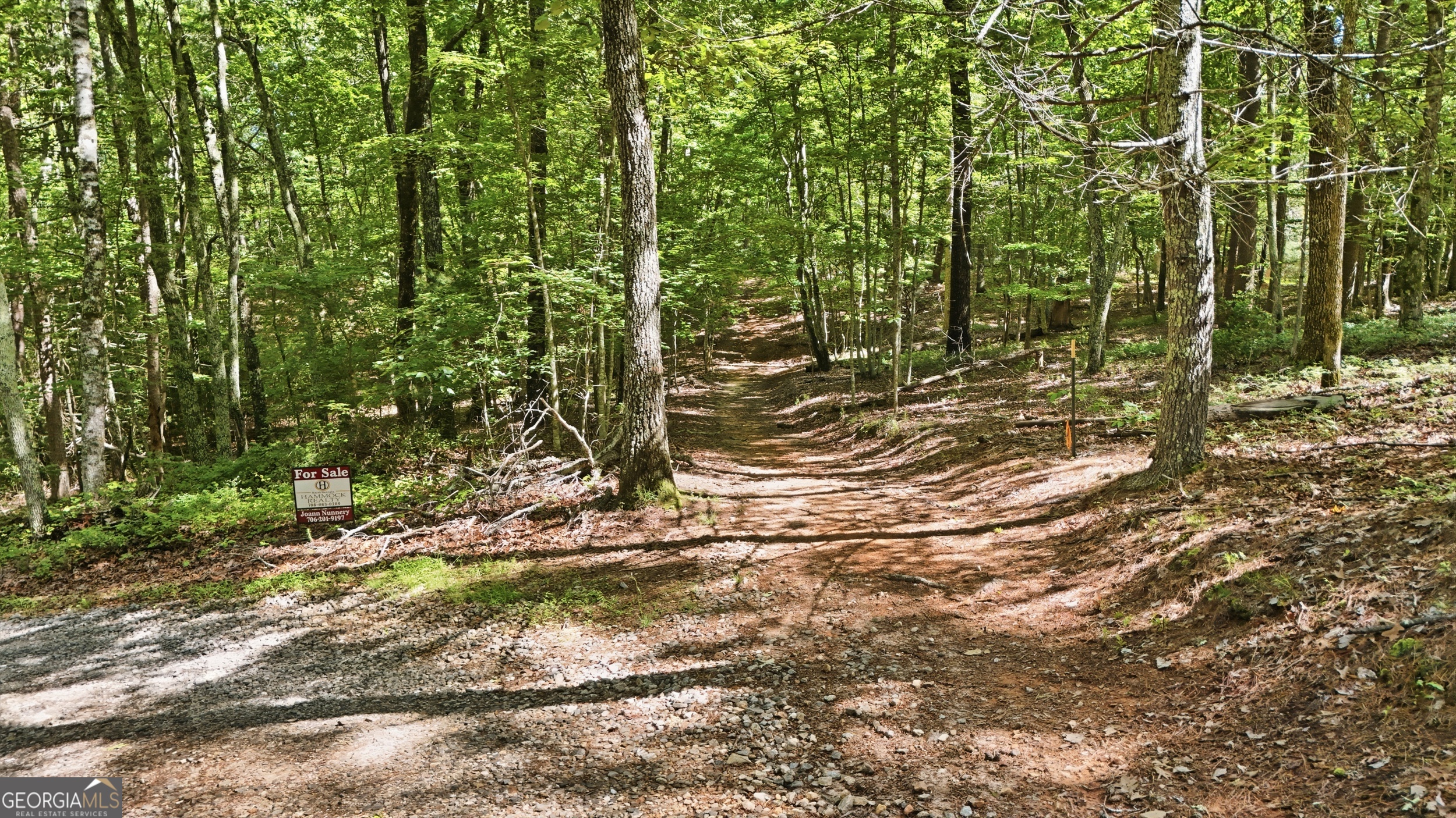 95 Black Bear Trail