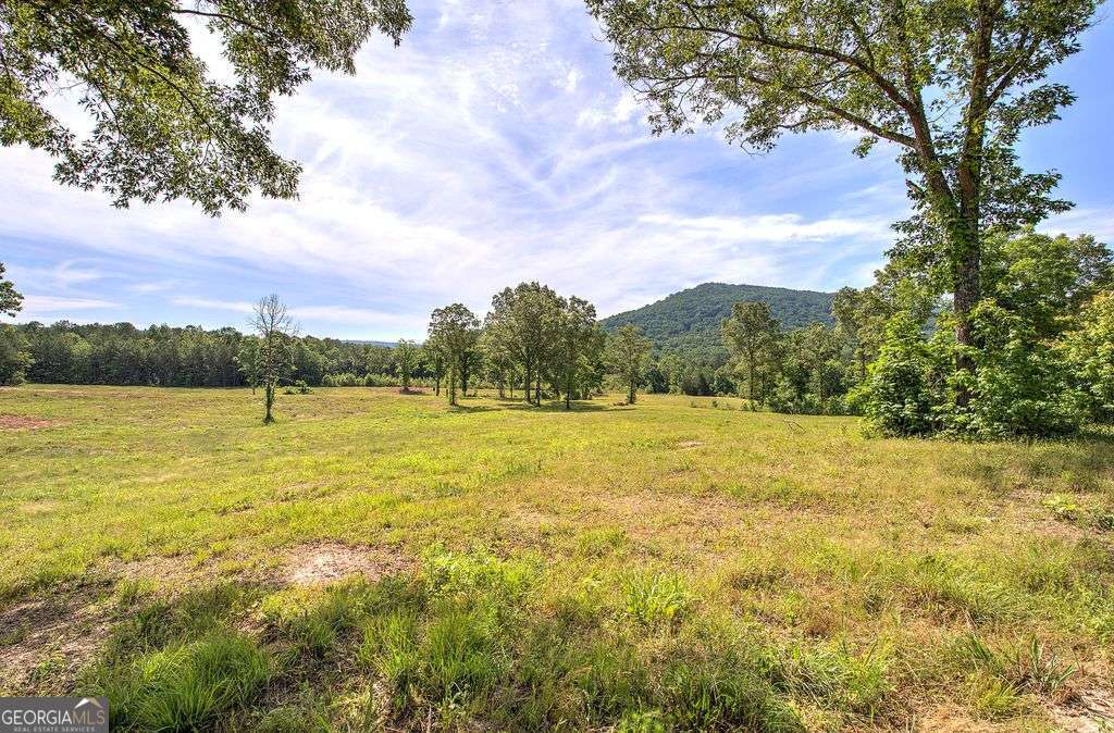 1084 Shahan Lane Property Photo 41