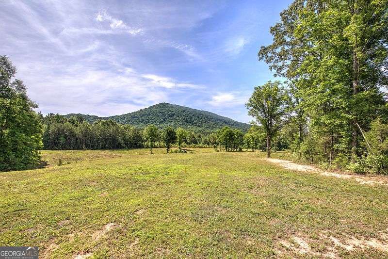 1084 Shahan Lane Property Photo 47