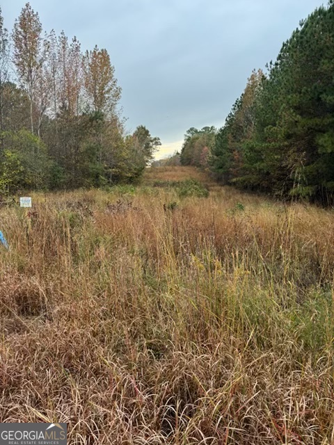 0 Moran Lake Ro Moran Lake Road Property Photo 1